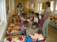 Výstava jablek