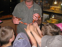 Návštěva v minizoo - hladili jsme hady malé ...